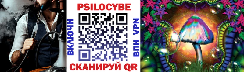 Галлюциногенные грибы Cubensis  ссылка на мегу маркетплейс  Эртиль 